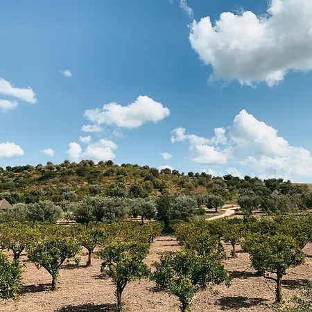 Iuta Farm-3