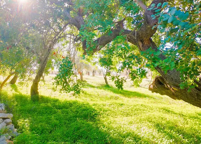  Terra Di Pace
